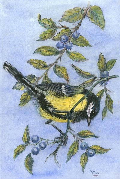 Tit in blackthorn and sloe by Nell Hill